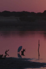 Imagen de Dehesa - 9