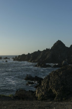 Imagen de El corrent de Humboldt: L'arribada - 9