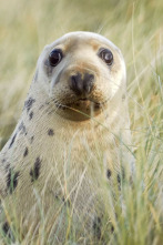 Imagen de Nacidos de la tormenta: Los hijos de la tormenta - 9