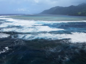 Imagen de Mindful Earth: Respirar - 3