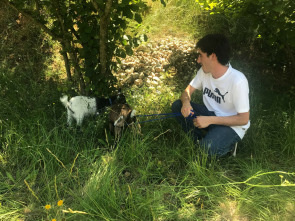 Imagen de La meva mascota i jo - 1