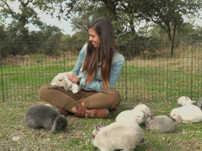 Imagen de ¡Qué animal! - 1