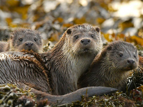 Imagen de Nacidos de la tormenta: Los hijos de la tormenta - 3