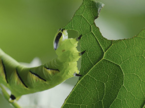 Imagen de Momentos magicos. El hechizo de la naturaleza - 3