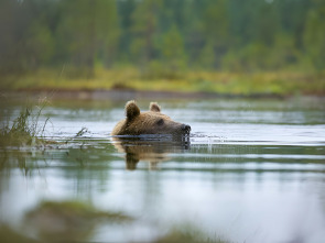 Imagen de Naturaleza maravillosa y salvaje - 3