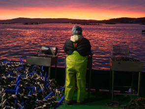 Imagen de El escarabajo verde  - 3