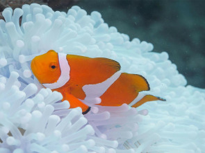 Imagen de Lugares indómitos....: Invierno - 3