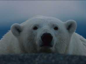 Imagen de Animales Imbatibles - 3