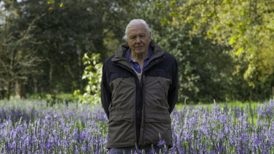 Imagen de Curiosidades de la naturaleza con Attenborough  - 3