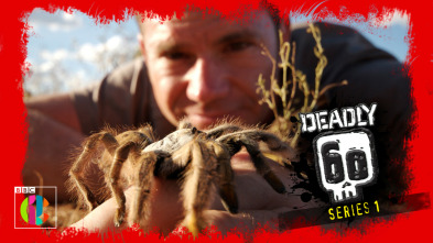 Imagen de Fauna letal: Sudamérica (II) - 3