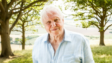 Imagen de Attenborough cumple 90 años - 3