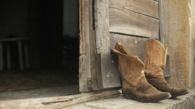 Imagen de Mi vida entre las hormigas - 3