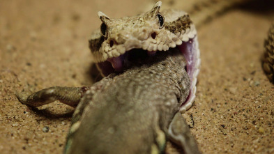 Imagen de Wild México: Los rápidos y los muertos - 3