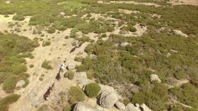 Imagen de Salvajes - 3