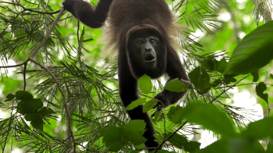 Imagen de Hotspots: Amèrica del Centre - 8