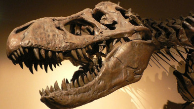 Imagen de Des-extinción - 3