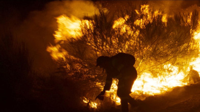 Imagen de Lo que arde - 3