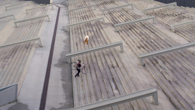 Imagen de Escala humana: Tocar Madera - 5