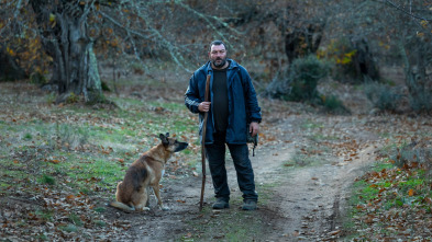 Imagen de As bestas - 3