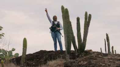 Imagen de En el corazón del cartel de Sinaloa - 3