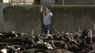 Imagen de Ruralitas: Ep.9 - 5