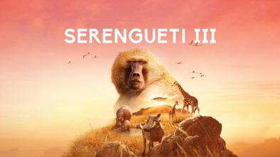Imagen de Serengueti: Presión - 5