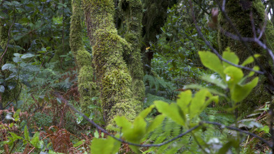 Imagen de De parque en parque: Parque Marítimo Terrestre Archipiélago de Cabrera - 3