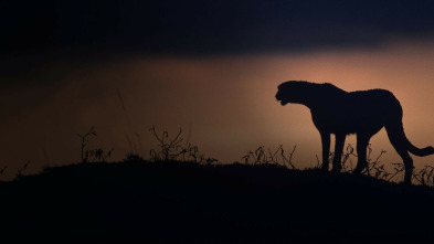 Imagen de El Kalahari, la...: Ep.1 - 4