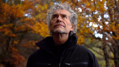 Imagen de El señor de los bosques (T7) - 3