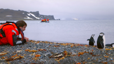 Imagen de Bardem, las metamorfosis - 3