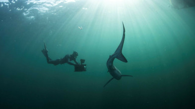 Atlántico Norte: el...: Explorando en la oscuridad