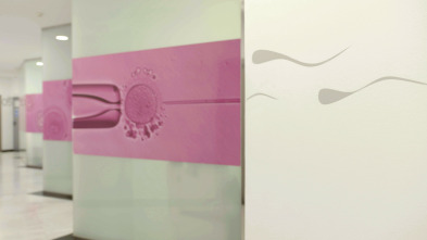 Imagen de Congelar la fertilidad - 3