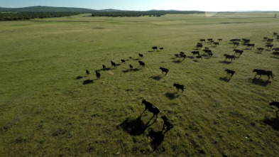 Imagen de En la piel del toro - 3