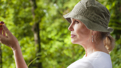 Imagen de La aventura en la ruta de las especias de Joanna Lumley  - 3