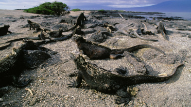 Imagen de Un día en la naturaleza  - 3
