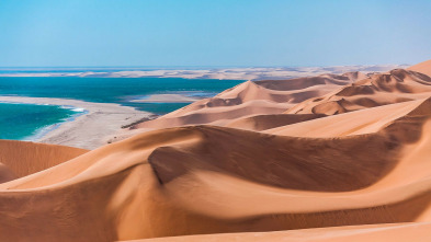 Imagen de Namibia la vida en la arena - 3