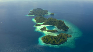 Imagen de El círculo mágico...: Pequeños gigantes: Los bentónicos - 3