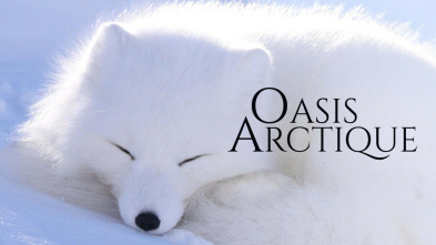 Imagen de El oasis del artico - 3