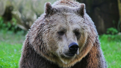 Imagen de Italia. El último territorio salvaje  - 3