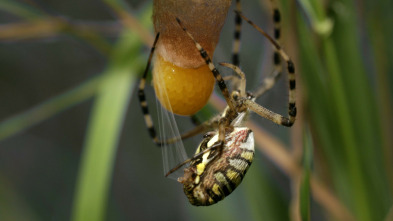 Imagen de Padres en la naturaleza  - 3