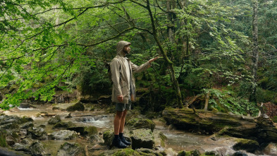 Imagen de Esto es España: País Vascopaís Vasco. Ciudades En La Naturaleza - 3