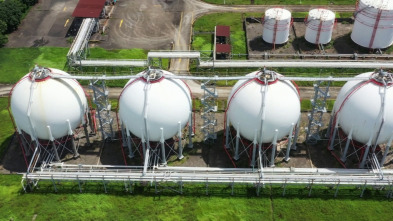 Imagen de El escarabajo verde: Primer elemento - 3