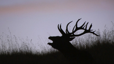 Imagen de Jara y sedal (T25/26): El Aprisco, una buena gestión - 3