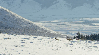 Imagen de Diarios de Yellowstone  - 3