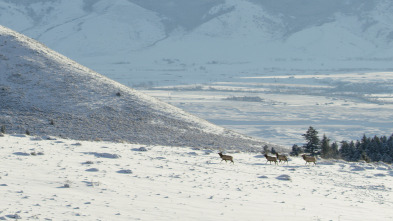 Imagen de Diarios de Yellowstone: Otoño - 3