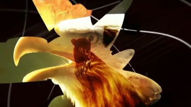 Imagen de Grandes documentales - 3