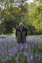 Imagen de Curiosidades de la naturaleza con Attenborough  - 2