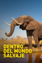 Imagen de Dentro del mundo salvaje  - 2