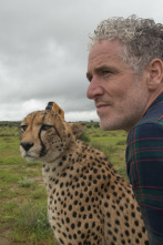 Imagen de Animales con cámaras  - 2