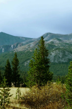 Imagen de Planeta selva: El bosque de los gigantes - 2